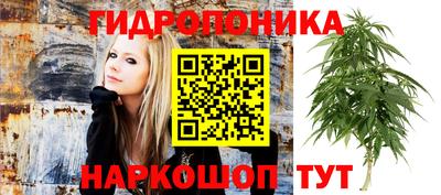 гидропоника Дубна