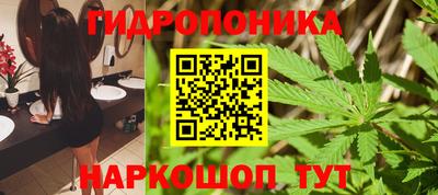 гидропоника Дубна