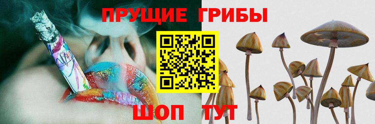 где купить наркоту  Галлюциногенные грибы Cubensis  Вход с VPN  Канаш  Псилоцибиновые грибы мицелий 